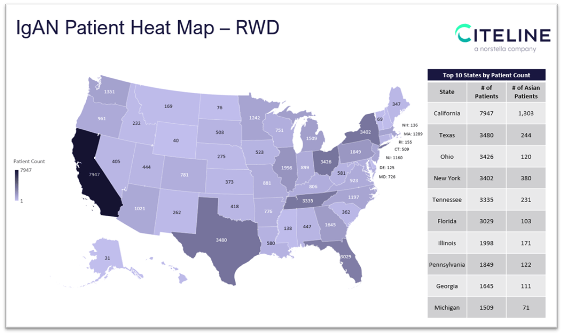 IgAN Patient Heat Map - RWD