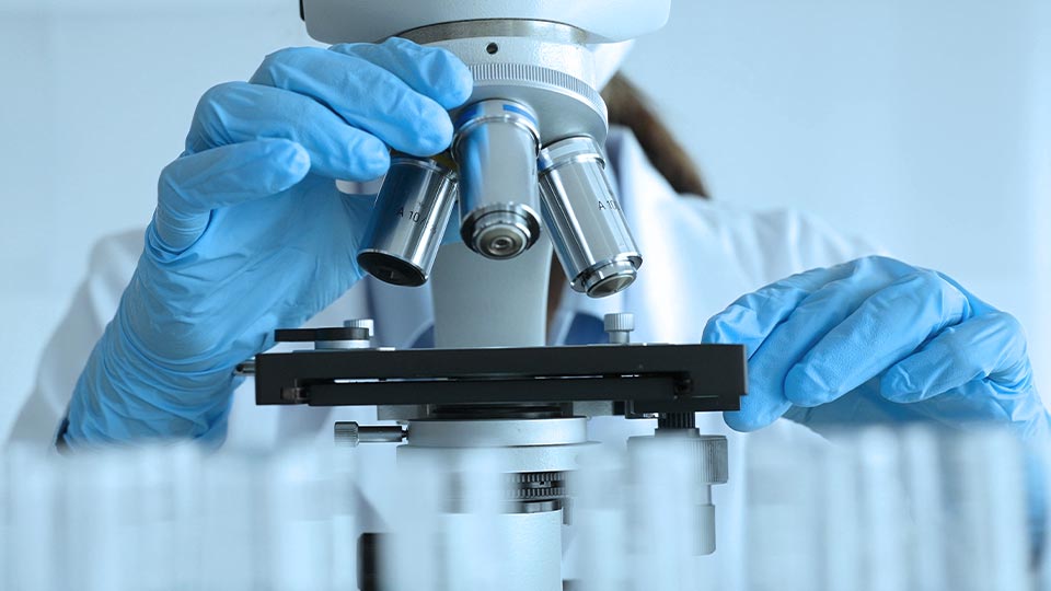 A researcher wearing a white lab coat and blue protective gloves adjusting a compound microscope in a scientific laboratory.