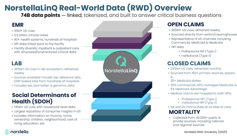 NorstellaLinq Real-World Data Overview diagram guide.